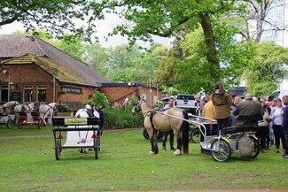 Singleton Park, the last stop