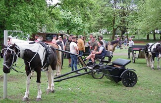 Also Singleton Park