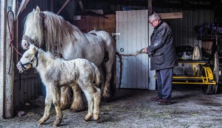 George Edward Norris, George Norris’s dad, at their stables in Cottingham, 2014 © George Norris