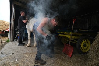 Horse owner Carl Sharp steadies his horse Luna as Blacksmith Ben Machin places a hot shoe onto her hoof at the stables in Cottingham May 10, 2024 © George Norris