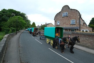 James Ellis and his horses lead a convoy of Bow Top wagons on their journey to Appleby Horse Fair as traffic try to pass them on the road May 30, 2024 © George Norris
