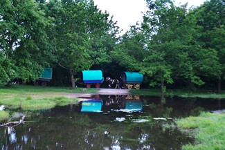A convoy of bow top wagons on their way to Appleby are reflected in a pond as James Weston drives his wagon onto open ground as they prepare to camp overnight in Marsham May 30, 2024 © George Norris