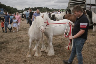 The next Kent Horse Fair is scheduled for Sunday 21st September 2025. So why not save the date and go along to support this ever-growing traditional family event?