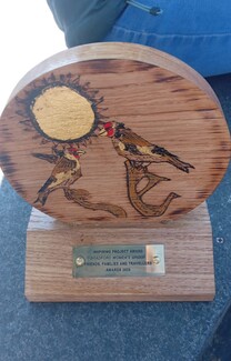 FFT AWARDS