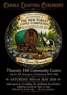 Thorney Hill Flyer
