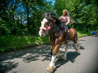 Appleby Fair