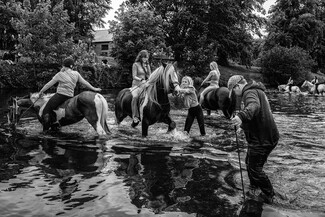 Appleby 2026, a photo series by David Sladek
