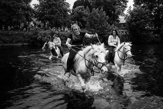 Appleby 2026, a photo series by David Sladek