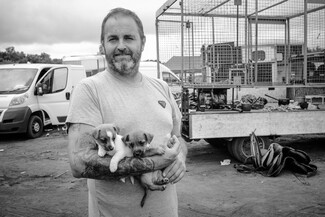 June Bournemouth Horse Fair and Drive - photo story by LE Thang