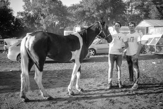 June Bournemouth Horse Fair and Drive - photo story by LE Thang