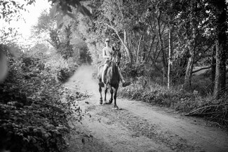 June Bournemouth Horse Fair and Drive - photo story by LE Thang