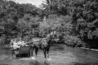 June Bournemouth Horse Fair and Drive - photo story by LE Thang