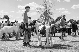Tom Harbour's Fair