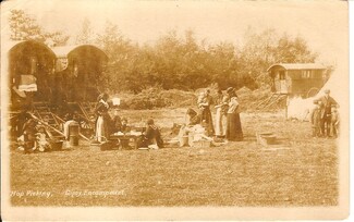 Hop picking, date and location unknown. courtesy of the Robert Dawson collection