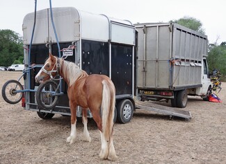It was, all told, a really good day out — lively, friendly, and full of proper horse fair atmosphere.