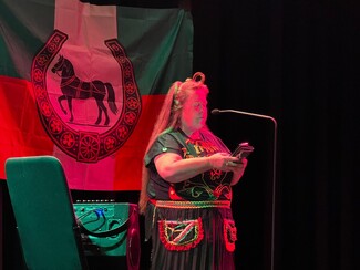 International Irish Traveller Day