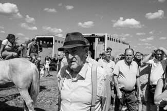 Tom Harbour's Horse Fair 2026 - a photo story by Guilhem Seguin