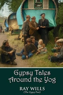 Raymond Wills' previous book was an anthology