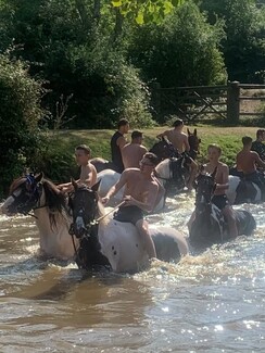 Tracey Cooper's Horse Drive, 2026, where Alan Langford gets his inspiration from