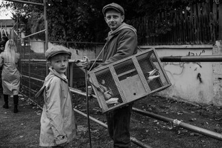 Ballinasloe Horse Fair – photo story by Guilhem Seguin