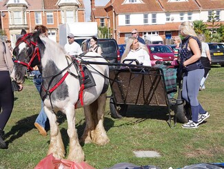 Louise Madelyne owner of the pony Bluebell talking to her friend Victoria Louise