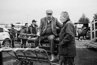 Ballinasloe Horse Fair – photo story by Guilhem Seguin