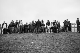 Ballinasloe Horse Fair – photo story by Guilhem Seguin