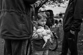Ballinasloe Horse Fair – photo story by Guilhem Seguin