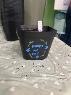 Forget me not