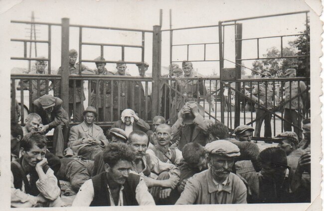 Josef Mengele and the Roma and Sinti Holocaust | Travellers Times