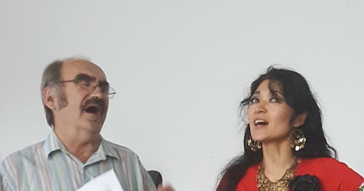 Gypsy, Roma Traveller education charity conference sparks debate on ...