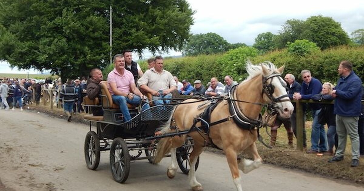 lead-photo-flash.jpg?itok=21jWIM9H