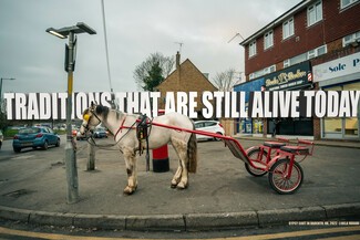 White horse with black spots wearing harness and pulling red cart on public pathway. There are retail shops and lamp post.